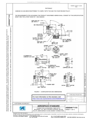 SAE AS85049-133-2021.pdf
