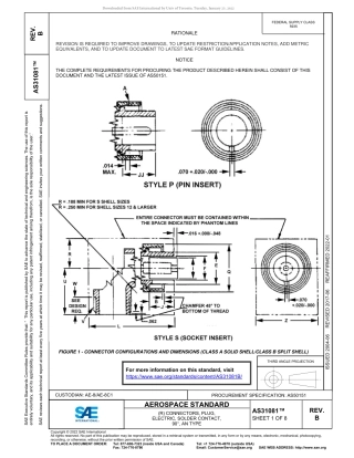 SAE AS31081B-2022.pdf