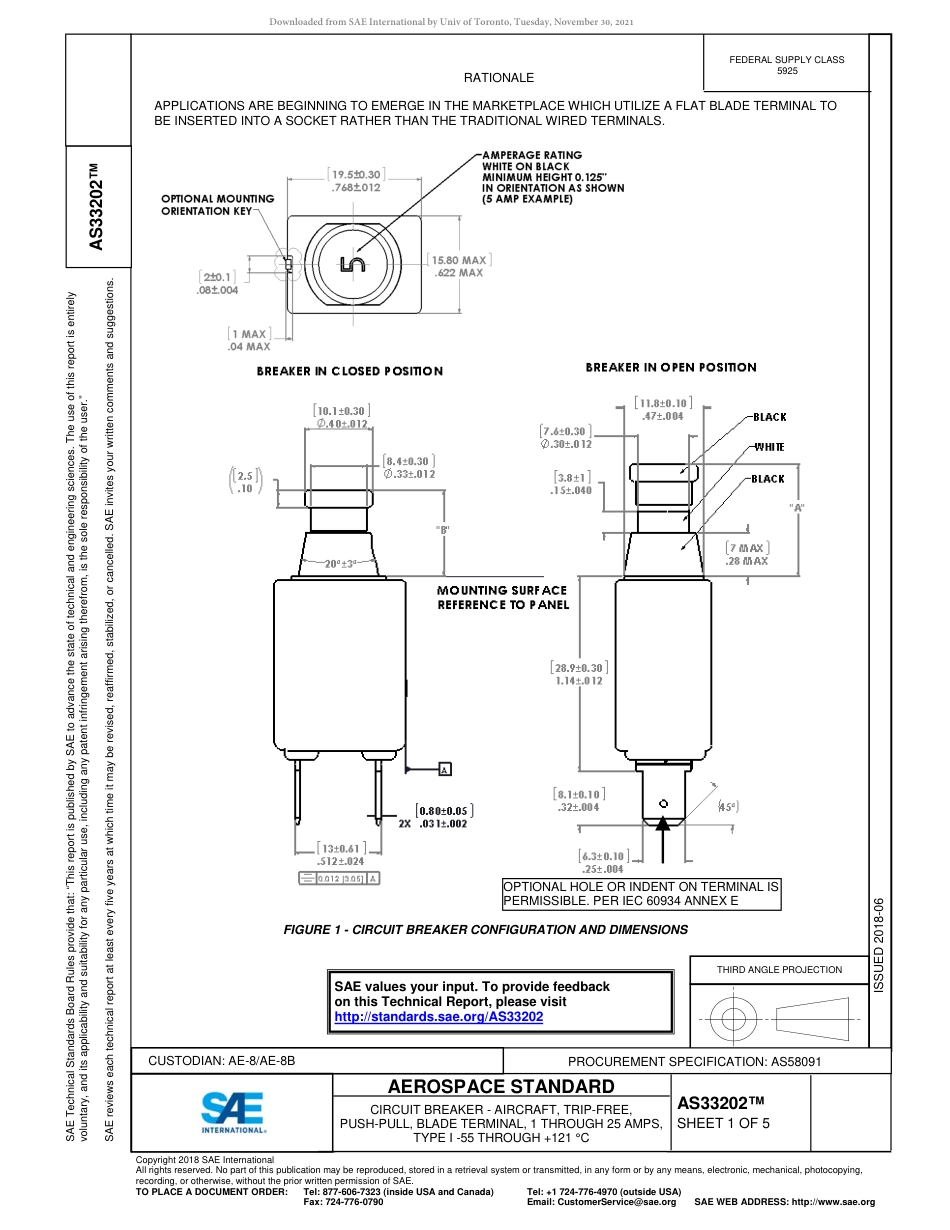 SAE AS33202-2018.pdf_第1页