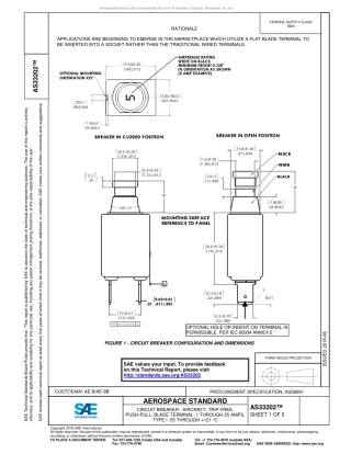 SAE AS33202-2018.pdf