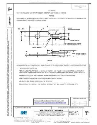 SAE AS17143B-2020.pdf