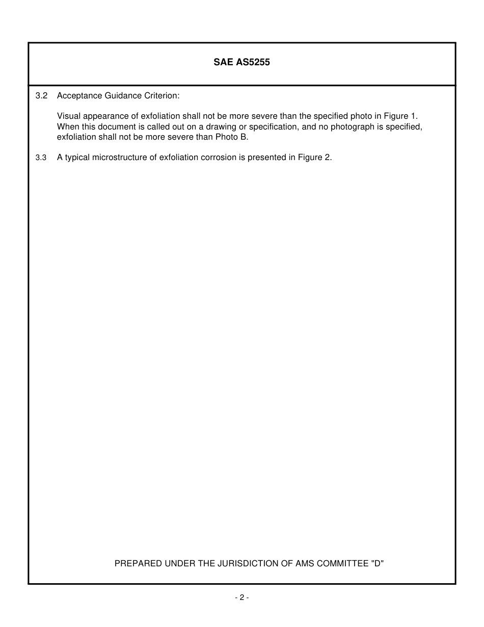 SAE AS5255-1997.pdf_第2页