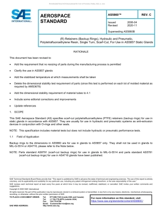 SAE AS5860C-2020.pdf