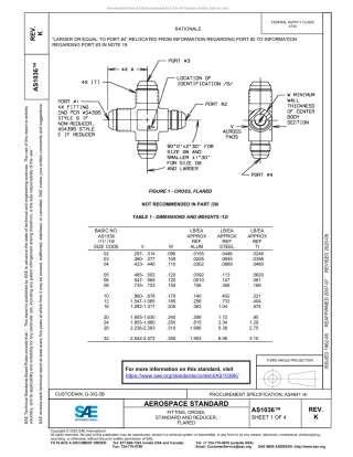 SAE AS1036K-2020.pdf