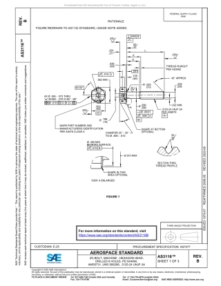SAE AS3116B-2020.pdf