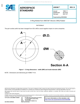 SAE AS9386B-2021.pdf