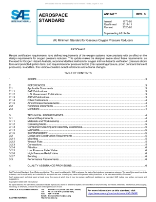 SAE AS1248B-2020.pdf