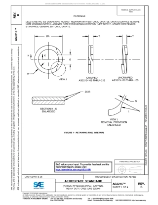 SAE AS3215B-2018.pdf