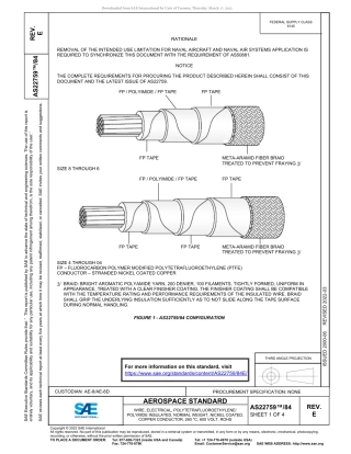 SAE AS22759-84E-2022.pdf