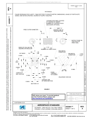 SAE AS3081A-2019.pdf