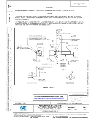 SAE AS9687C-2022.pdf
