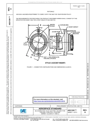 SAE AS31381A-2021.pdf