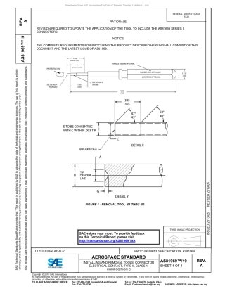 SAE AS81969-19A-2019.pdf