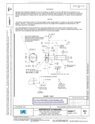 SAE AS9821B-2022.pdf