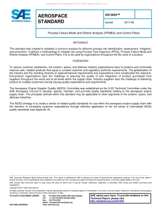 SAE AS13004-2017.pdf