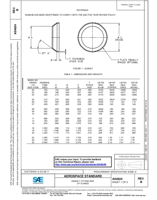 SAE AS4824B-2015.pdf