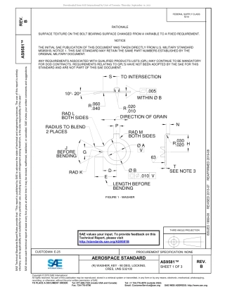 SAE AS9581B-2019.pdf