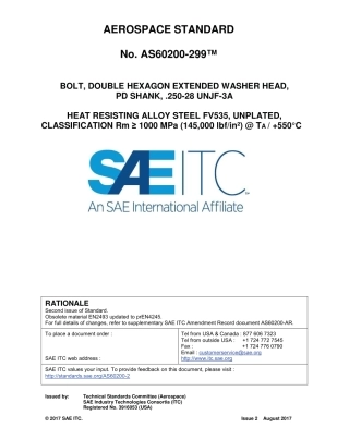 SAE AS60200-299-2017.pdf