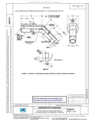 SAE AS8576-2021.pdf