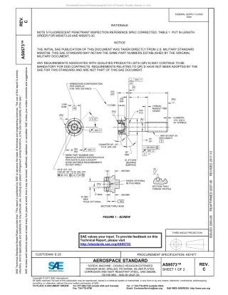 SAE AS9573C-2017.pdf