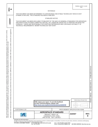 SAE AS9597B-2014.pdf