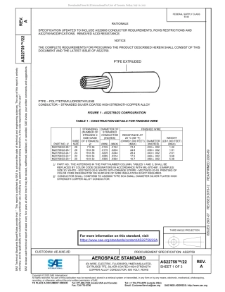 SAE AS22759-22A-2020.pdf