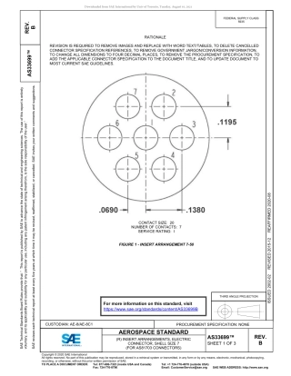 SAE AS33699B-2020.pdf