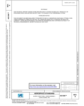SAE AS1298A-2023.pdf