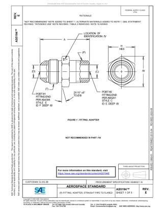 SAE AS5194E-2020.pdf