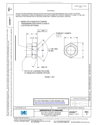 SAE AS3483C-2020.pdf