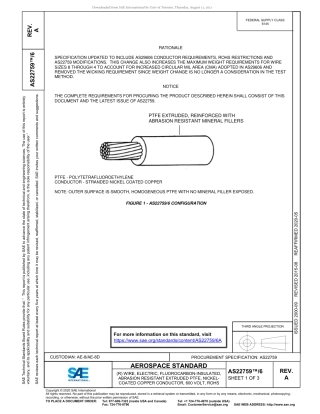 SAE AS22759-6A-2020.pdf