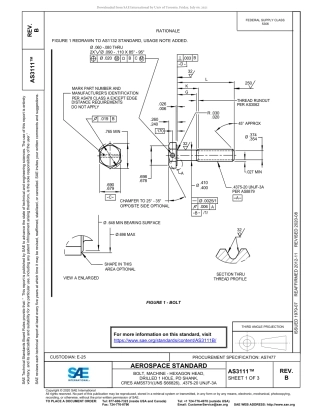 SAE AS3111B-2020.pdf