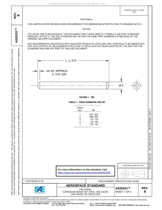 SAE AS20253B-2020.pdf