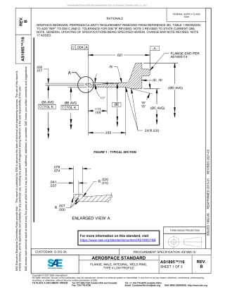 SAE AS1895-16B-2021.pdf