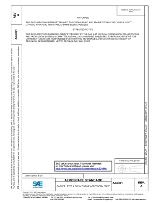 SAE AS3491A-2013.pdf