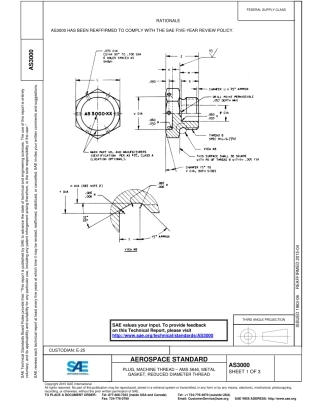 SAE AS3000-2015.pdf