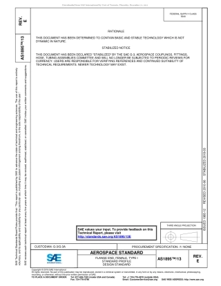 SAE AS1895-13E-2018.pdf