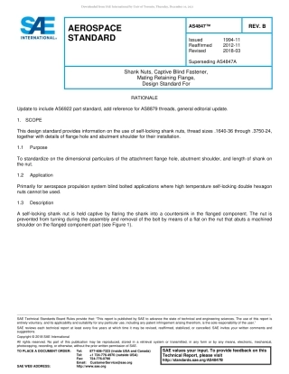 SAE AS4847B-2018.pdf