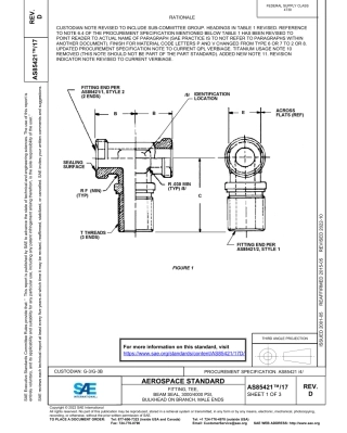 SAE AS85421-17D-2022.pdf
