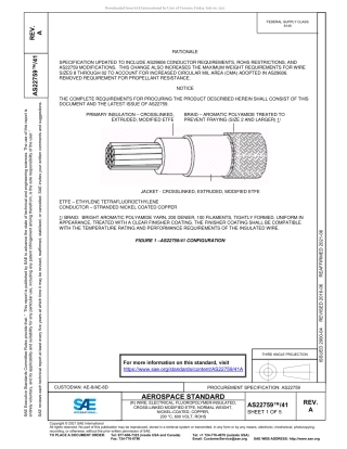 SAE AS22759-41A-2021.pdf