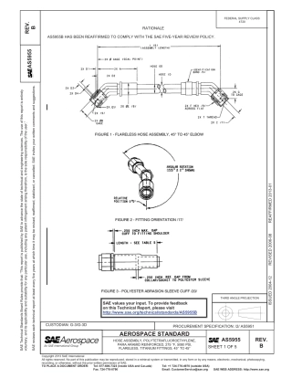 SAE AS5955b-2013.pdf