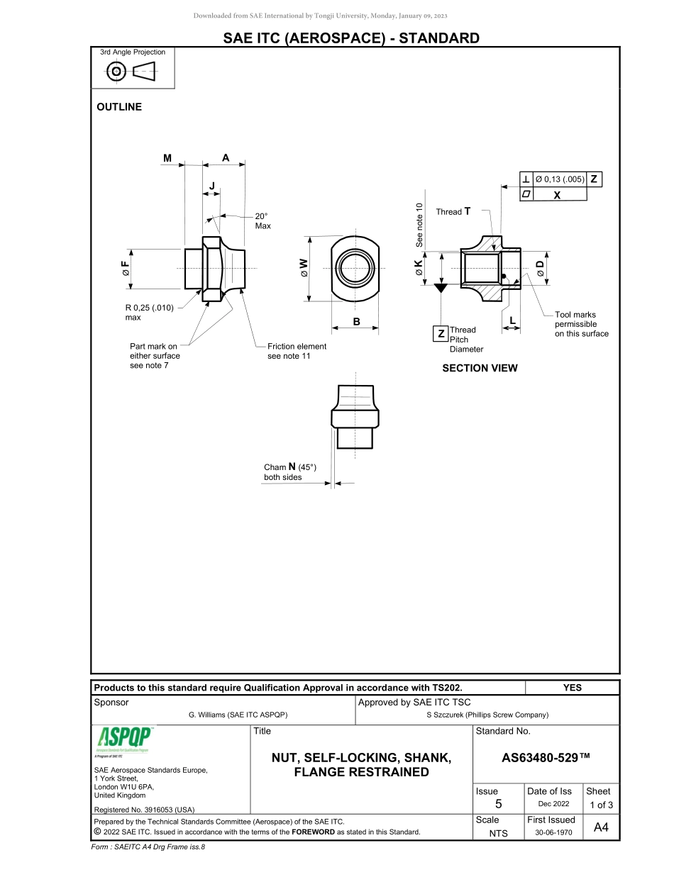 SAE AS63480-529-2022.pdf_第3页