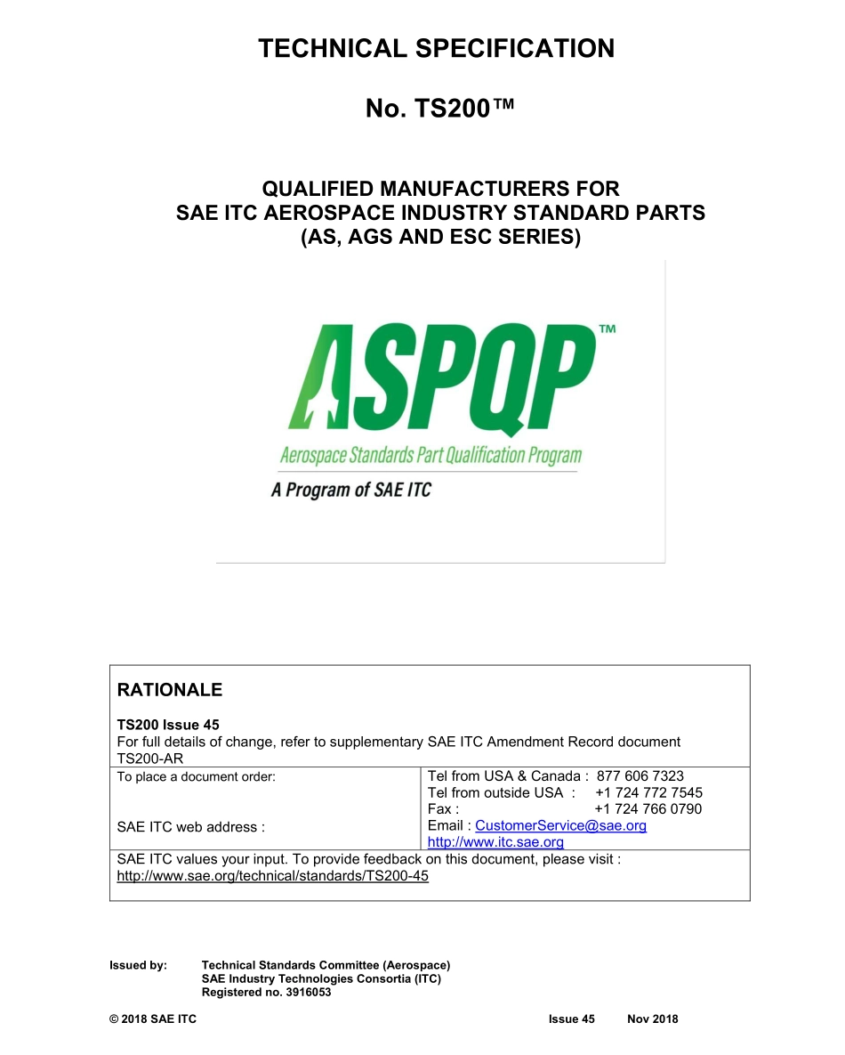SAE TS 200-45-2018.pdf_第1页