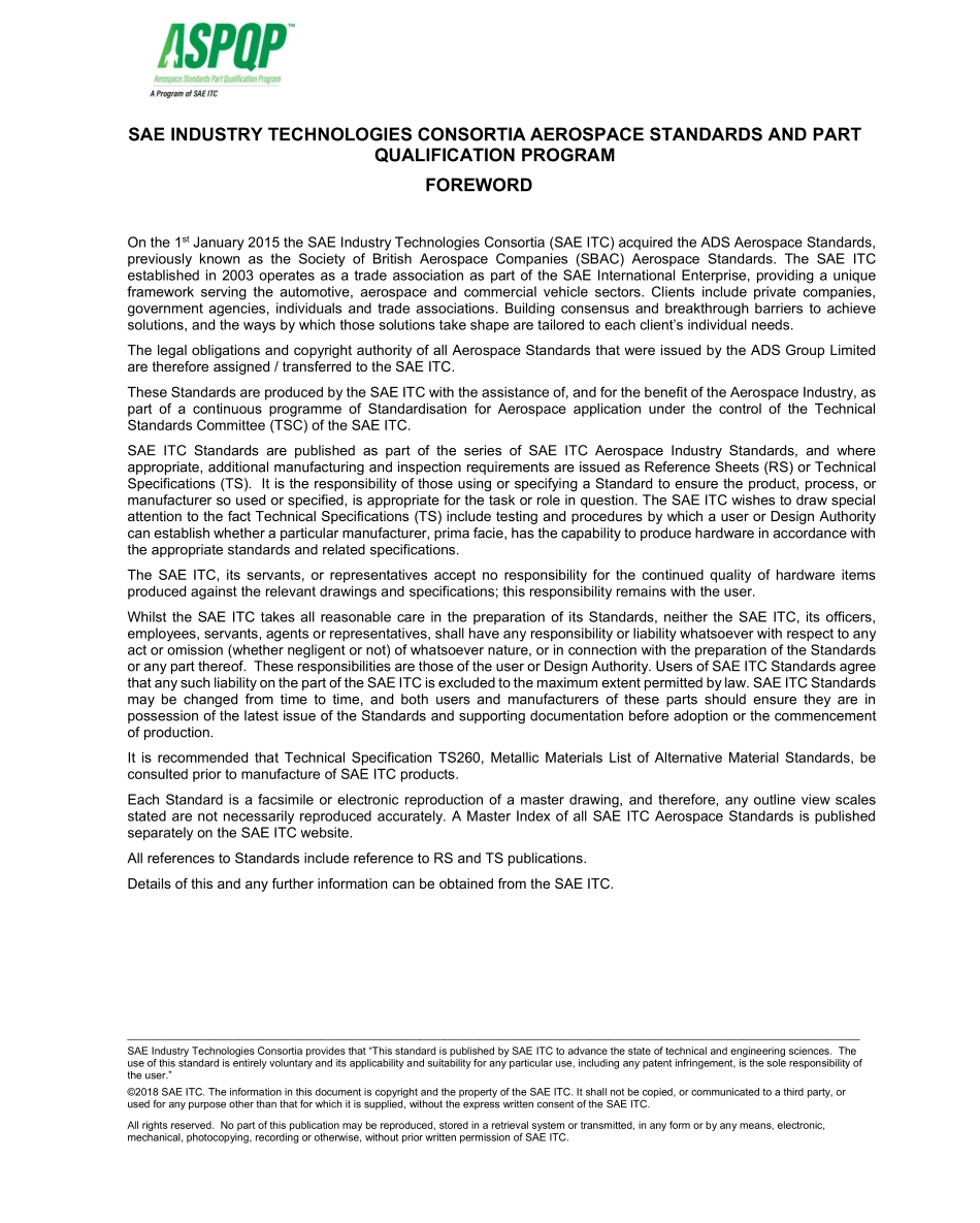 SAE TS 200-45-2018.pdf_第2页