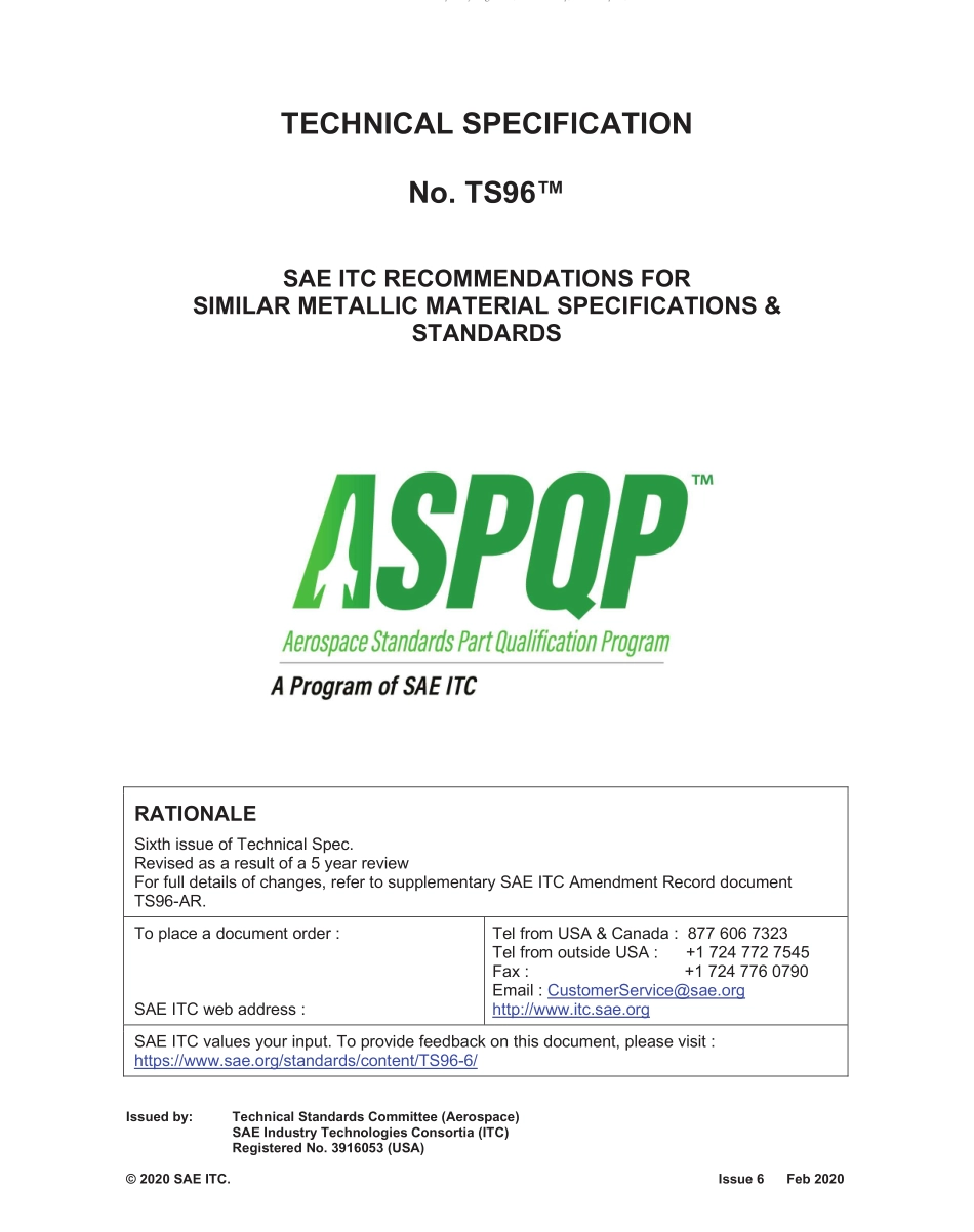 SAE TS 96-6-2020.pdf_第1页