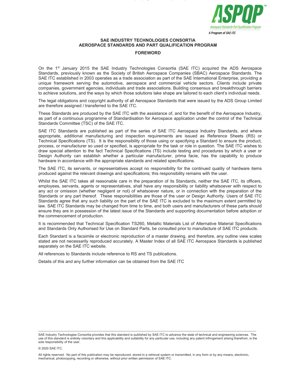 SAE TS 96-6-2020.pdf_第2页