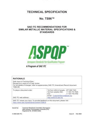 SAE TS 96-6-2020.pdf