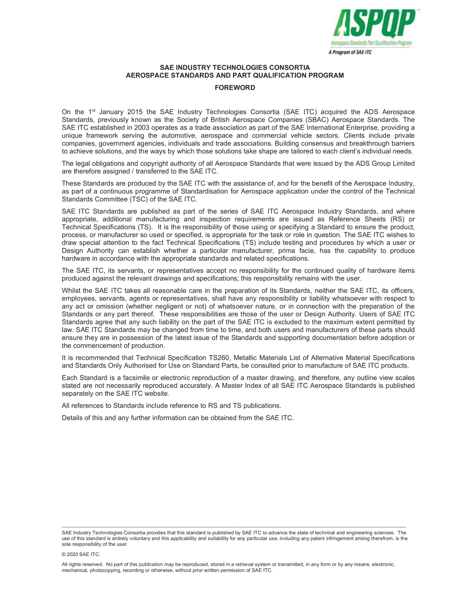 SAE TS 96AR-6-2020.pdf_第2页