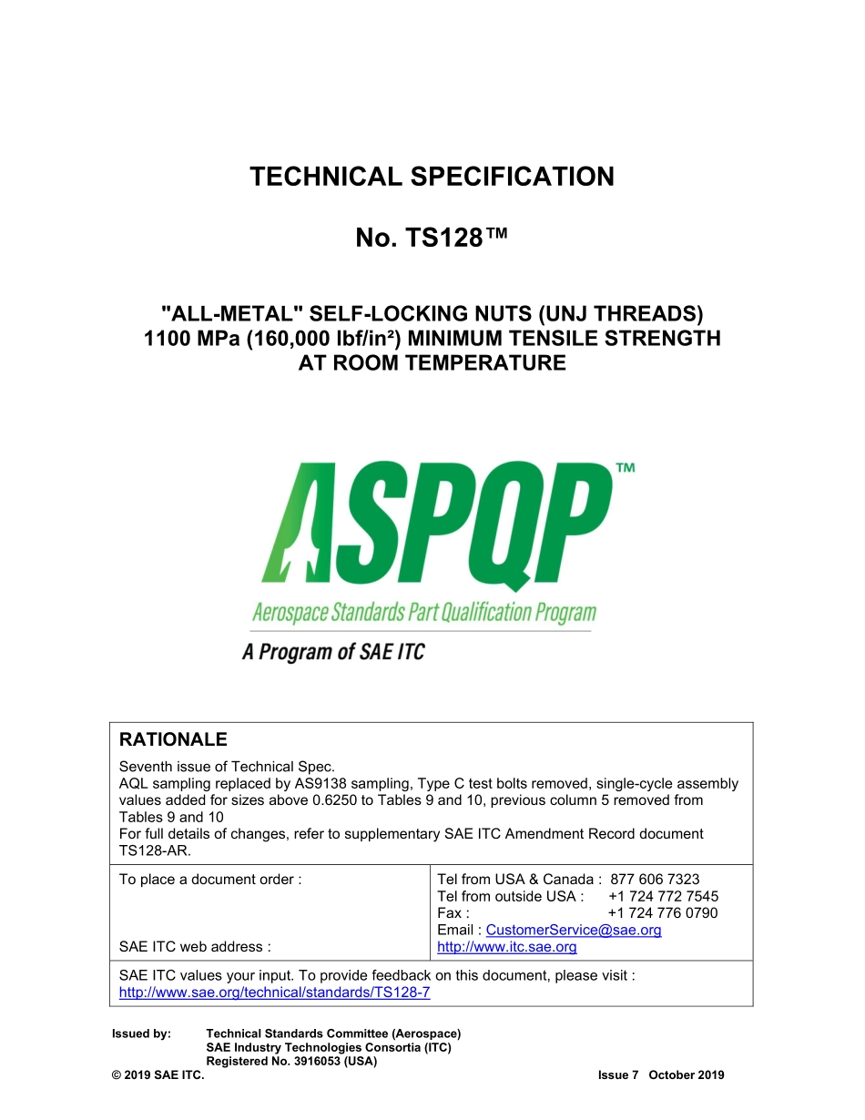 SAE TS 128-7-2019.pdf_第1页