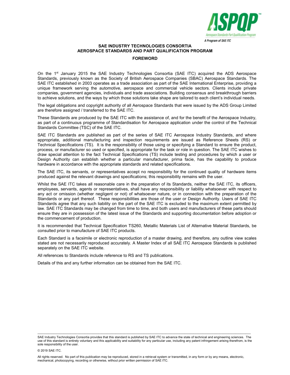 SAE TS 128-7-2019.pdf_第2页